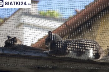 Siatki Bieruń - Siatka na balkony dla kota i zabezpieczenie dzieci dla terenów Bierunia