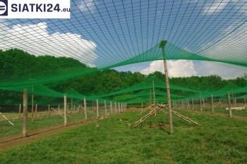 Siatki Bieruń - Tania siatka do wolier na hodowlę ptactwa dla terenów Bierunia